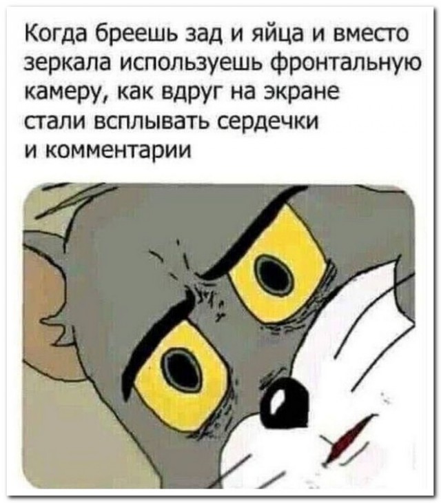 Забавные комментарии из социальных сетей (13.11.23)