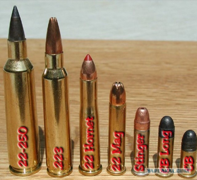 American-180 под 22lr