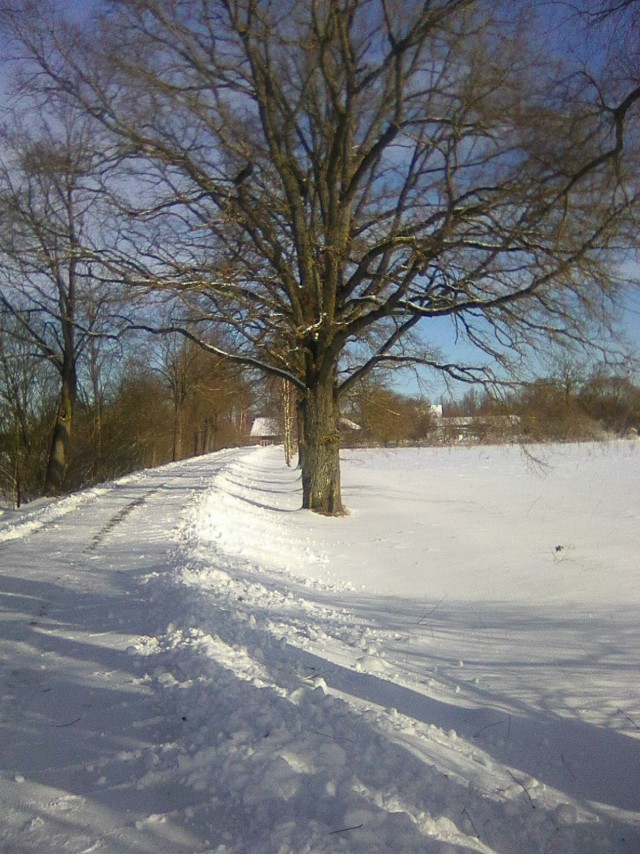 Каникулы в деревне