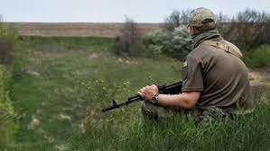 Житель Вязников случайно застрелил закладчика при охоте на лося