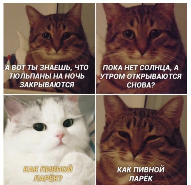 Алкопост.ч2