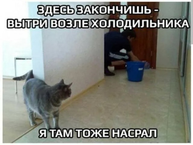 Жертва домашнего Василия