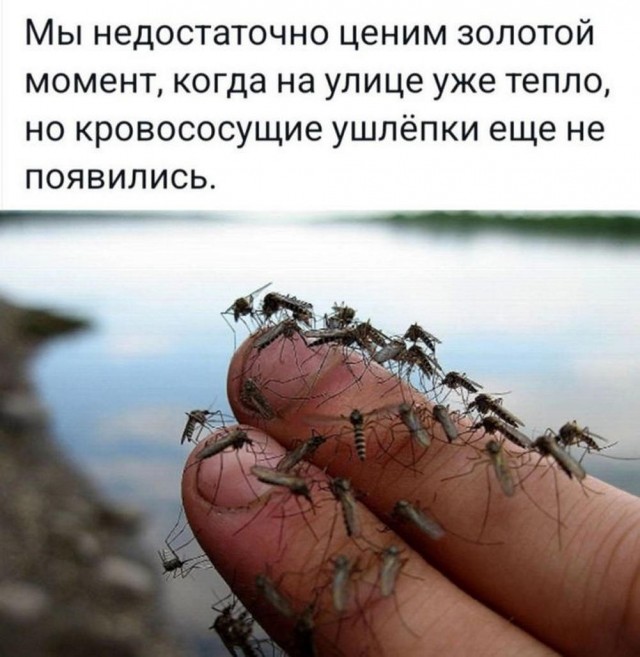Всего понемногу. От 15.05.24