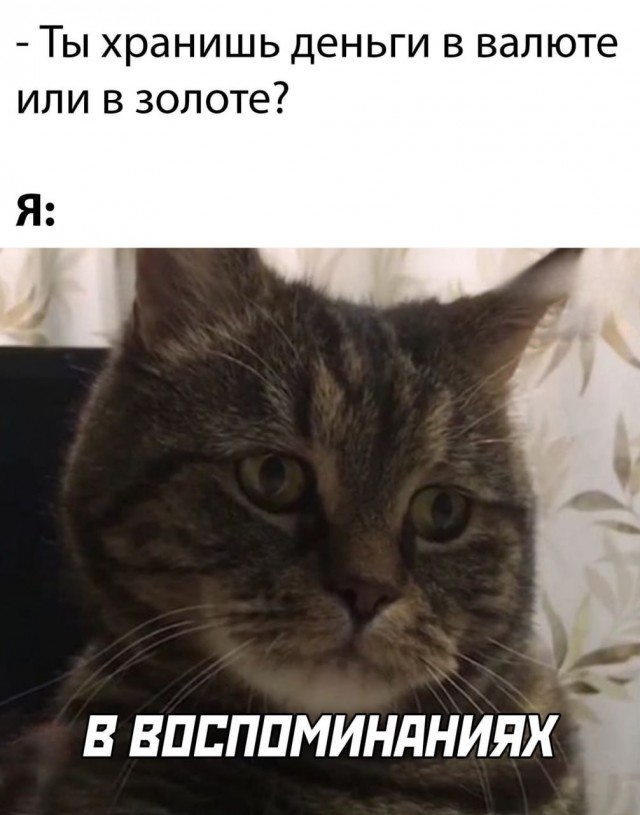 Так себе картинки 08.05.24