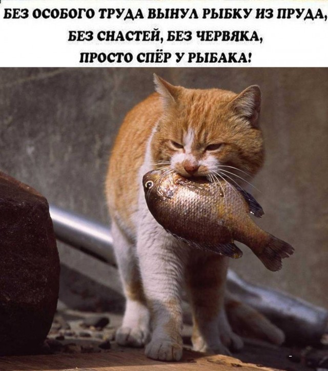 Так себе картинки 19.05.24