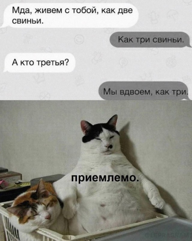 Народная меДИЧина 1037