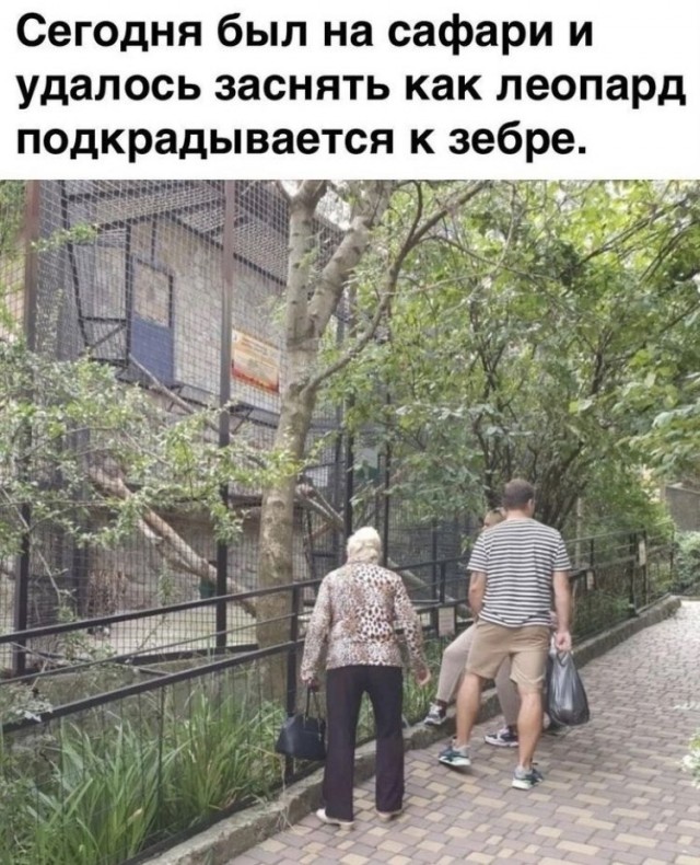 Завалялось тут случайно немного забавных картинок