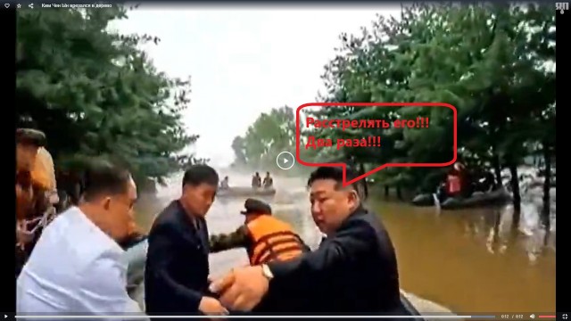 Ким Чен Ын врезался в дерево