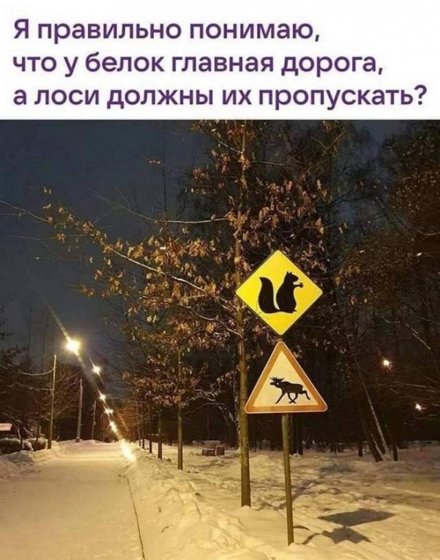 Прикольные и просто красивые картинки 22.11.2024