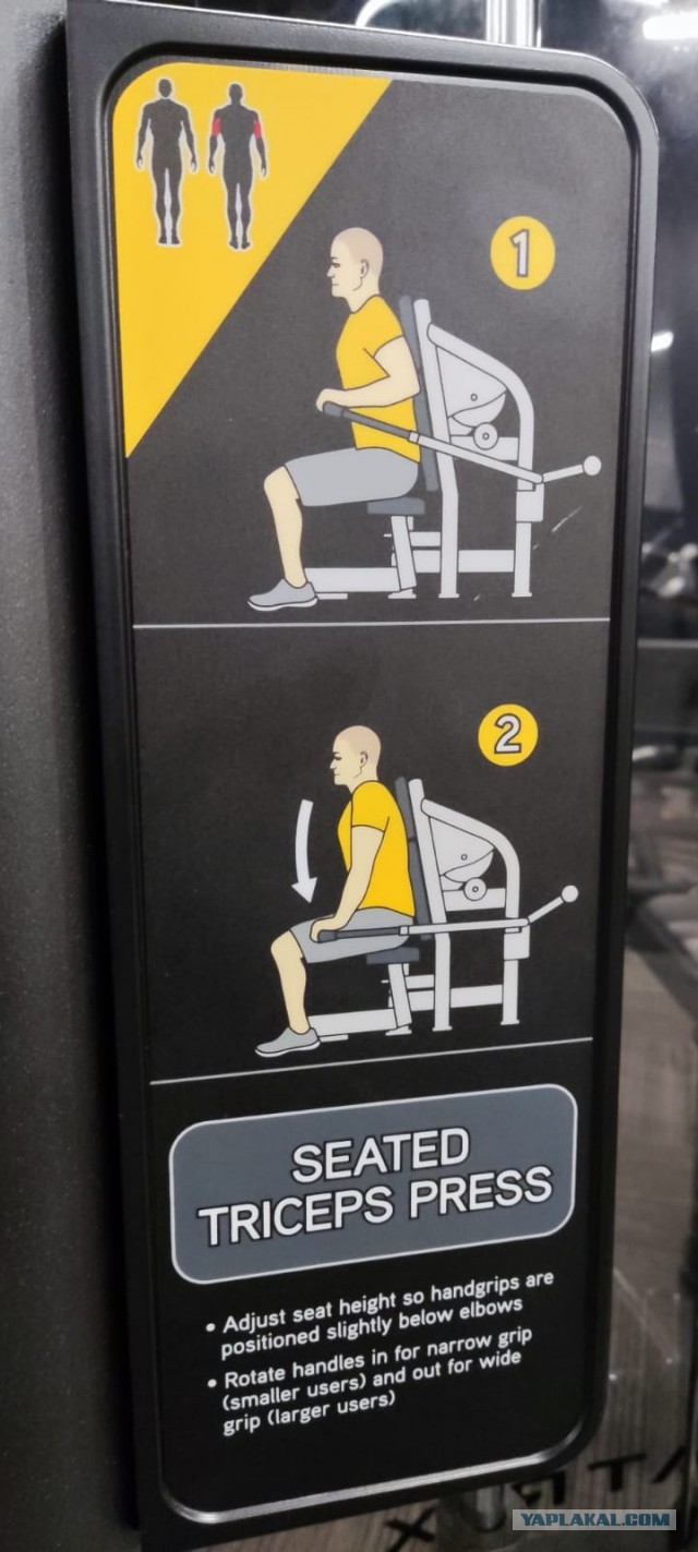 Спортзал, есть ли смысл туда ходить.