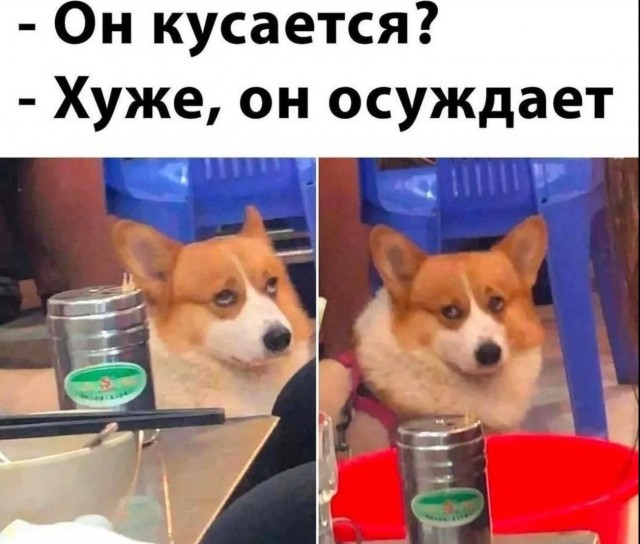 Завалялось тут случайно немного забавных картинок