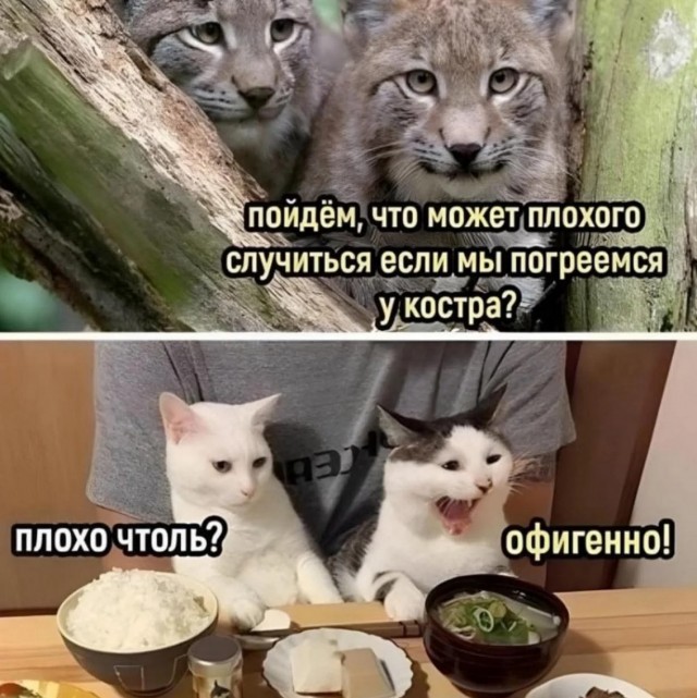 Завалялось тут случайно немного забавных картинок