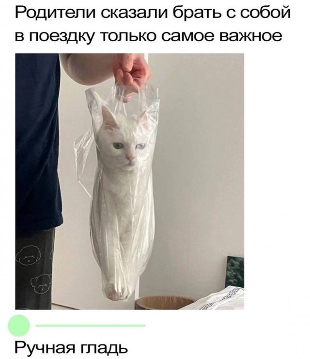 Картинки для деградации-5 (разной степени свежести)