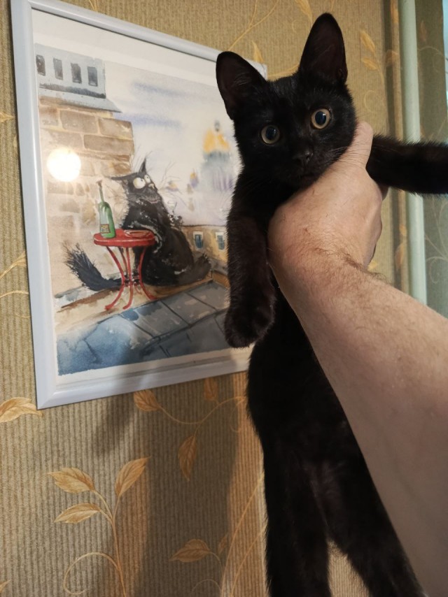 Его первый вторник