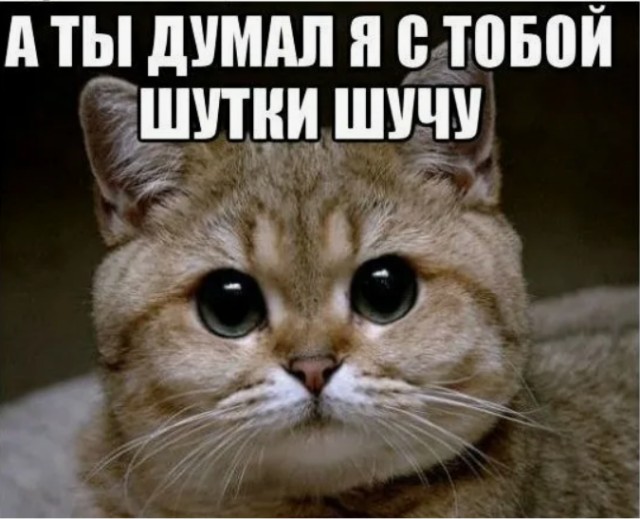Я же сказал, что он отморозок!