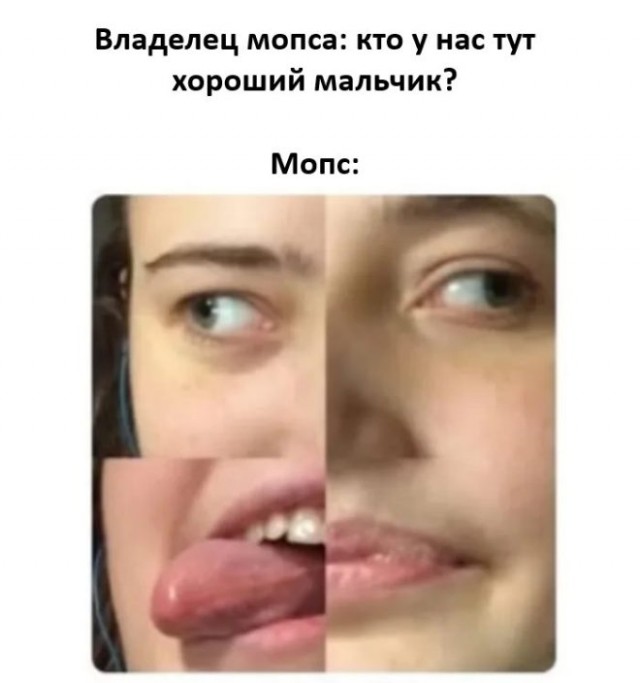 Веселые картинки в понедельник (13.10)