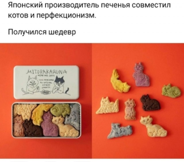 К котовторнику: подборка картинок-баянов с котиками и про котиков. Выпуск 23.