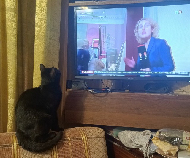 В защиту чёрных котов