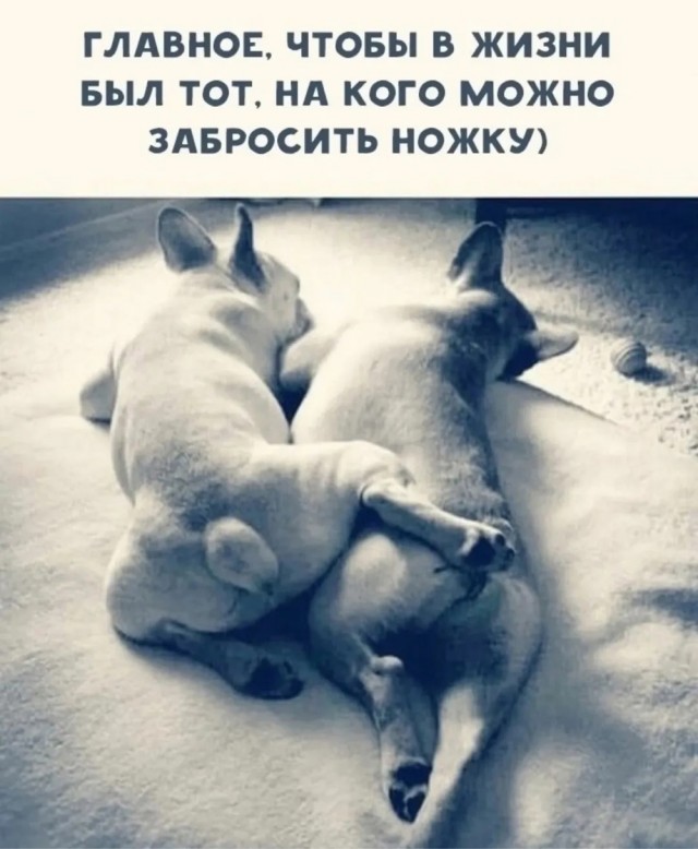 Воскресные картинки