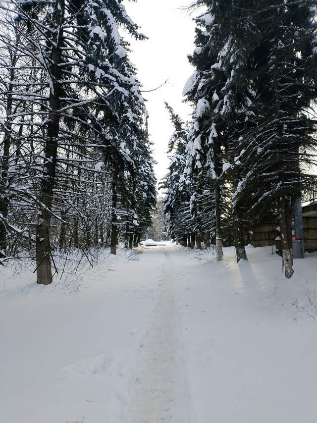 Прогулялся вчера