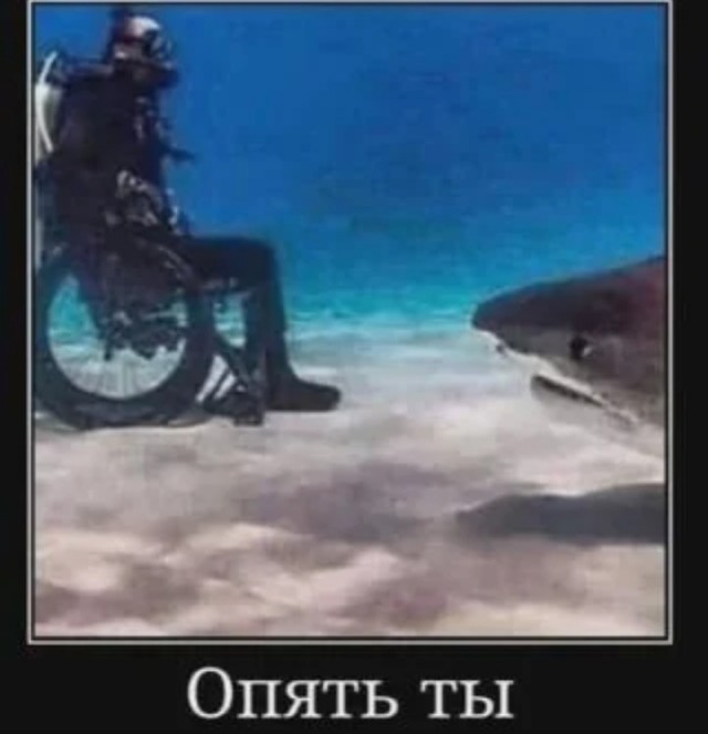 Еб@йшая еб@нин@