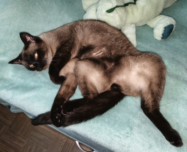 Машу ж вать! Наташа, помогите!