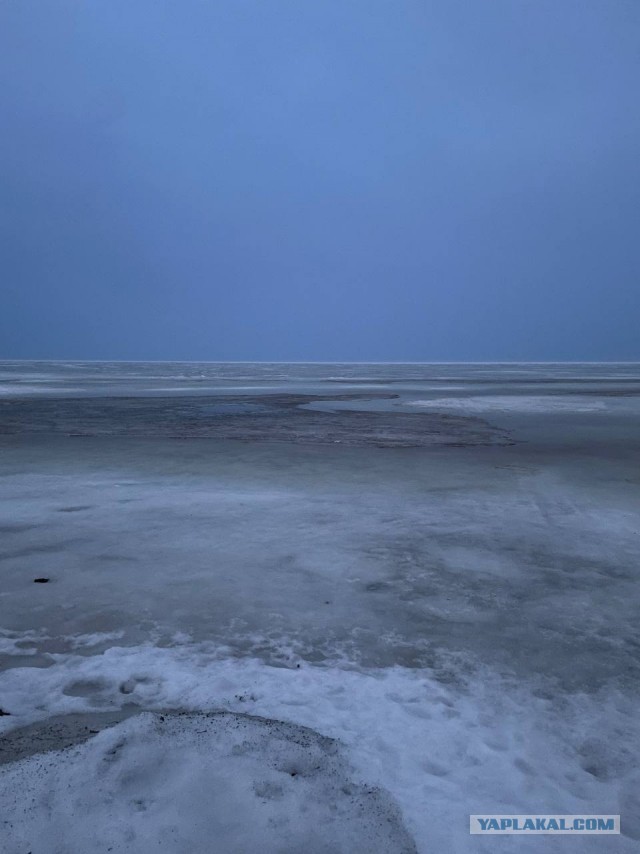 Весна в городе