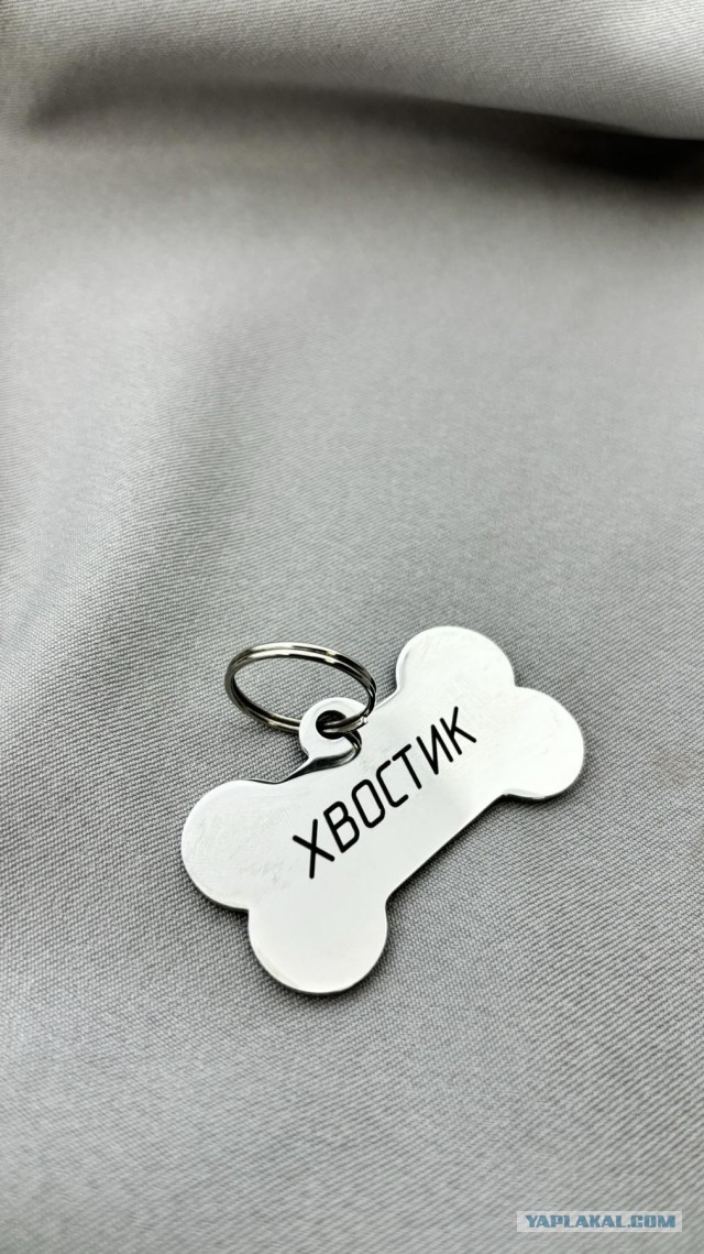 Вот и нет больше со мной моего хвостика