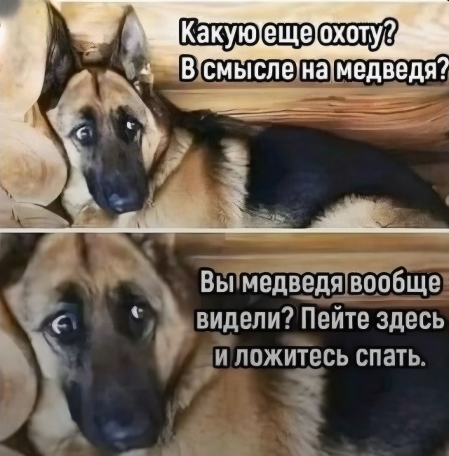 Истинные потомки волков!