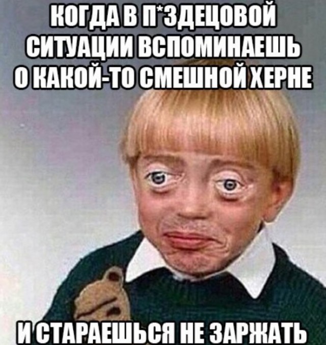 Картиночки, баянчики 27 июня