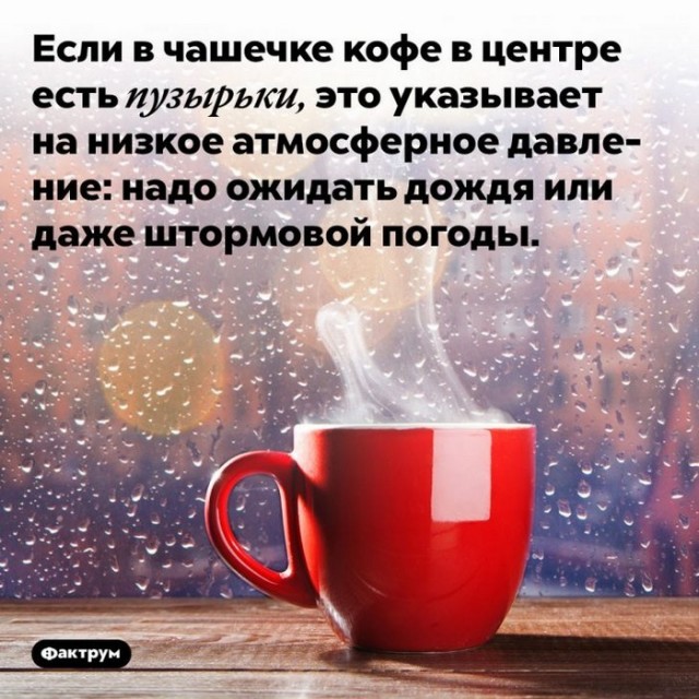 Интересные и короткие факты, на все случаи жизни