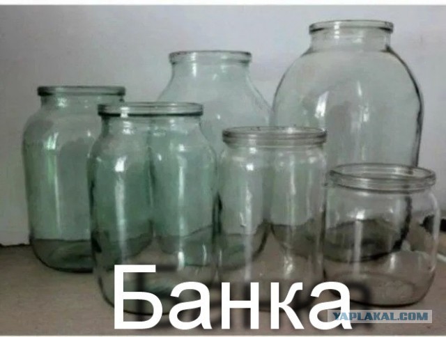 Яблочко от яблони