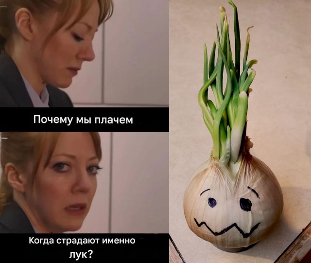 Картинки для деградации 276 (разной степени свежести)