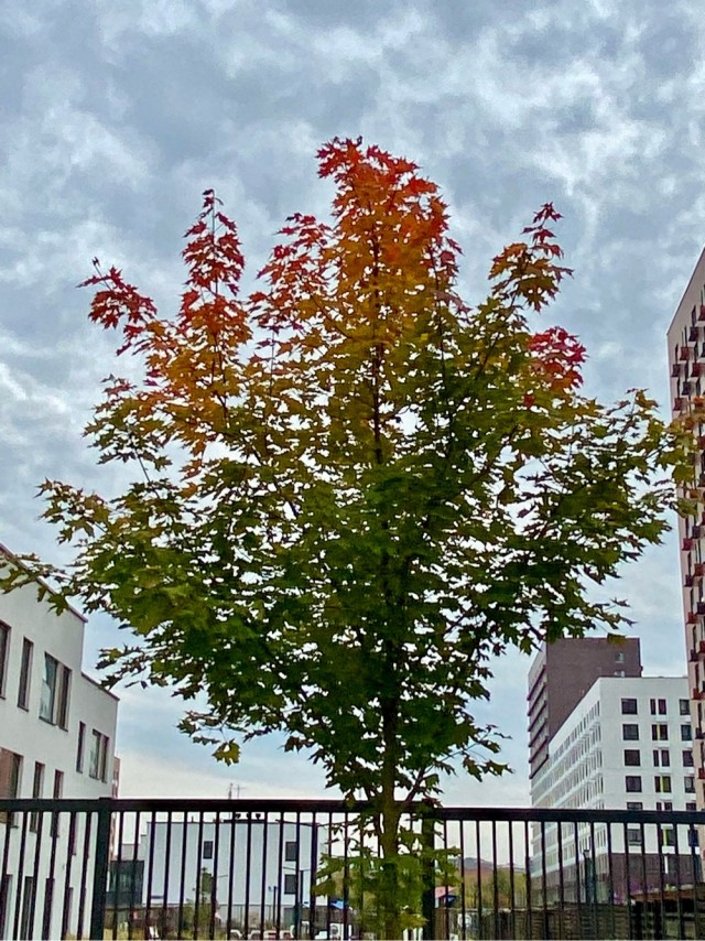 October
