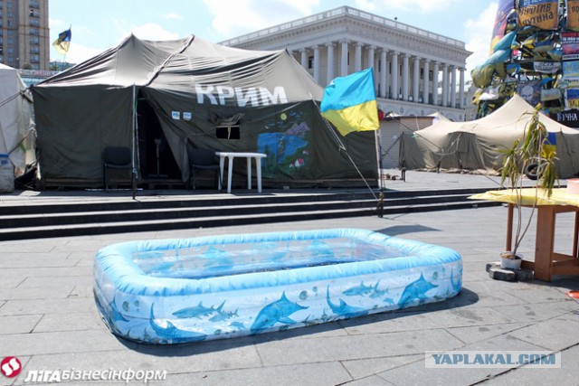 Социальный взрыв на Майдане.