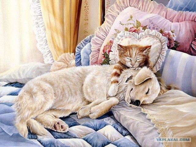 Рисованный котовторник