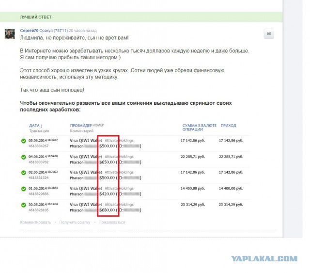 Как студент заработал на необычных шоколадках