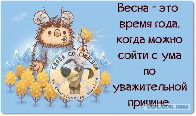Веселые жизненные наблюдения из Вредного журнала