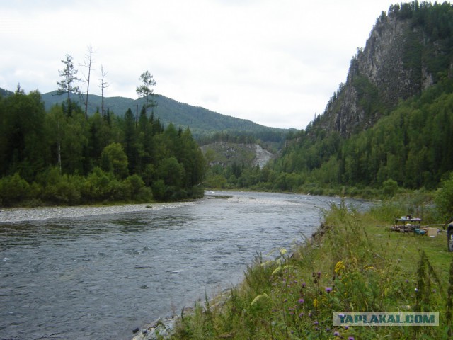 Дикая Хакасия