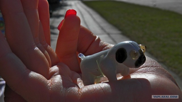 Мои стекляшечки.