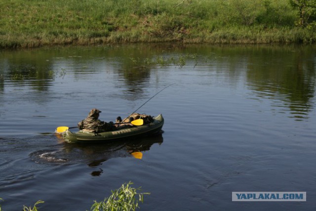 Большой водочный поход