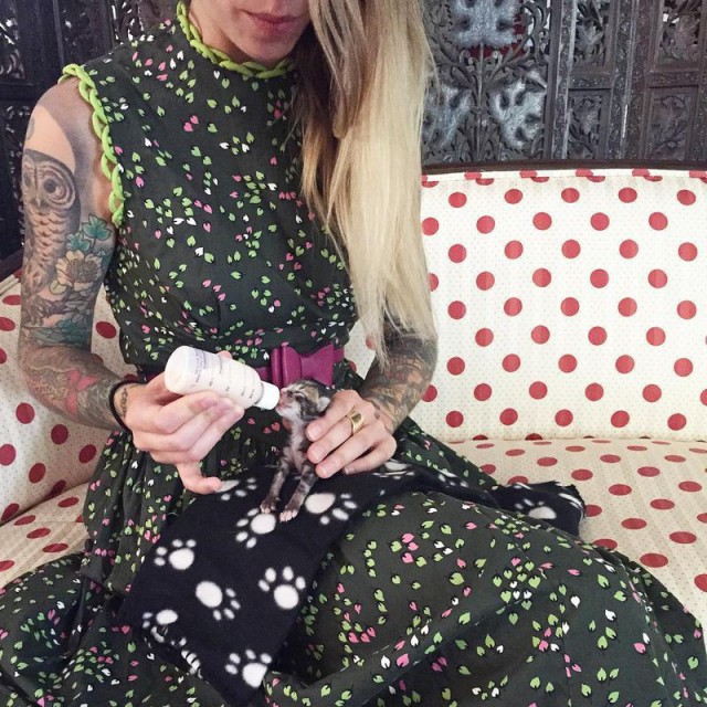 Она спасает котят. Самая милая работа в мире!