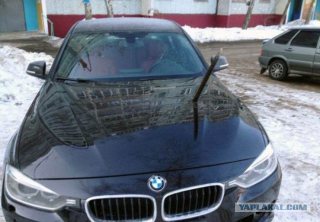 Открываешь дверь парадной и....