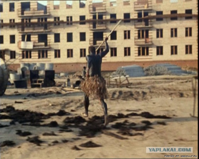 Полугодовое противостояние человека и крысы