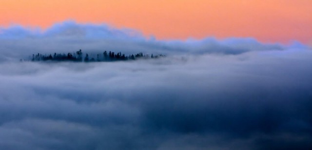 Подборка картинок