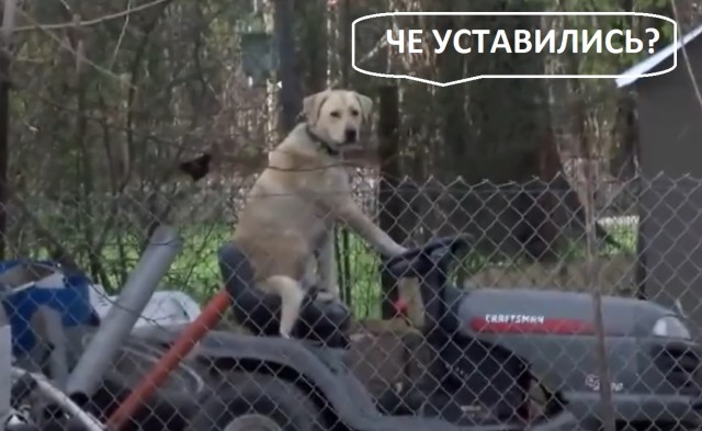 "Оцените ужасные последствия торнадо... Стоп! Что это?"