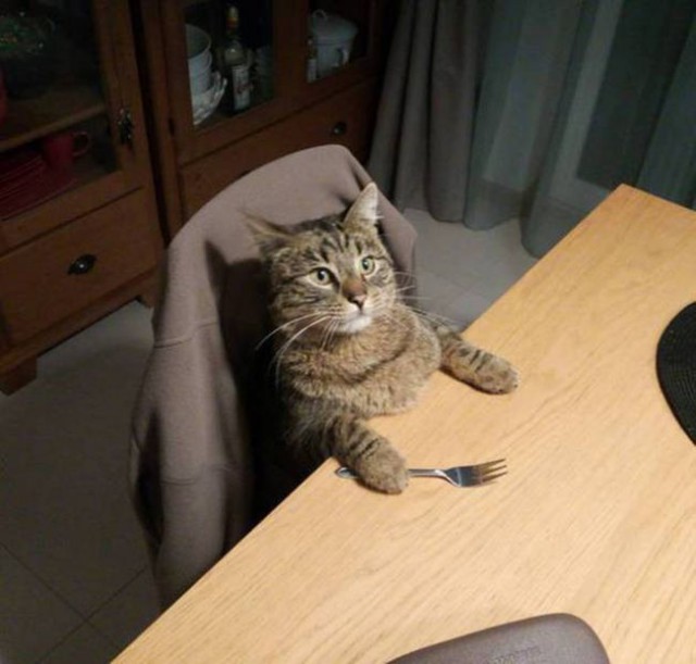 Красивые фото