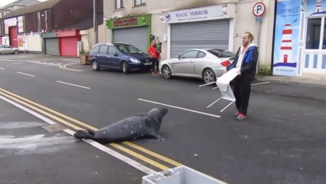 Хорошо устроился!