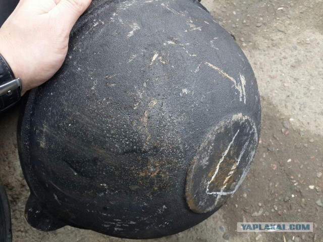 Продам Пчаки