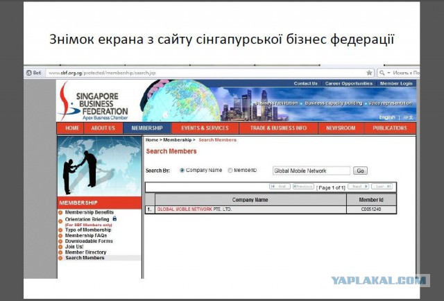 Как я побывал в сетевой пирамиде